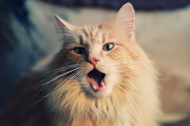 九游网页版官网入口-_热火防守坚不可摧，击退对手_，热火外线防守