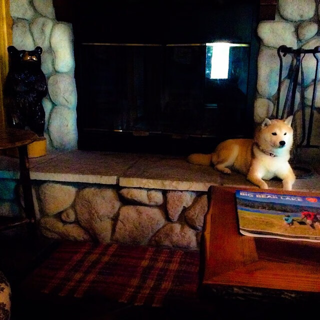 九游官网下载app下载-_热火防守铁壁,战绩连战不断征战_,热火防守悍将