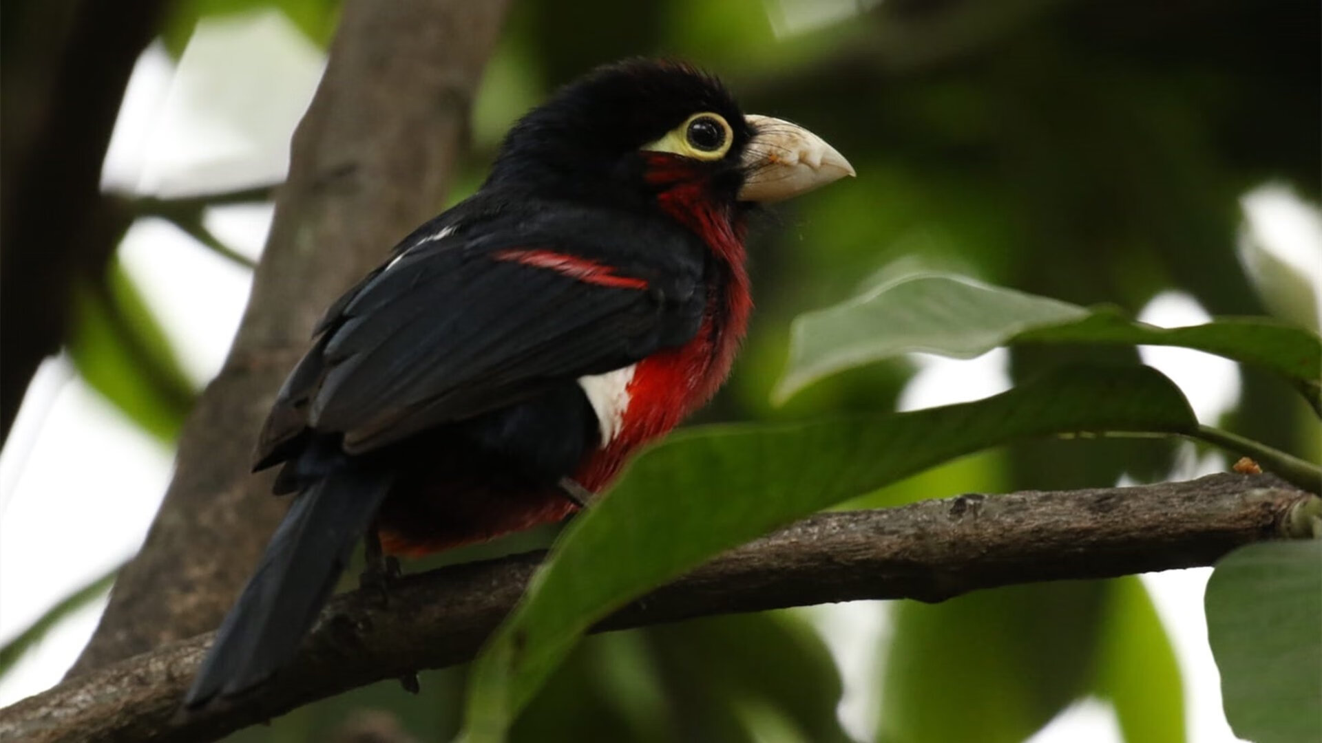 九游9游-全国青少年“篮球+科技+环保”融合赛事在广州成功举行，推动多元发展